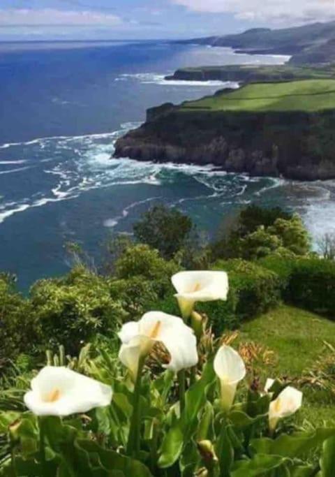 Casa Cassanelli By The Ocean Villa Ribeira Grande Luaran gambar